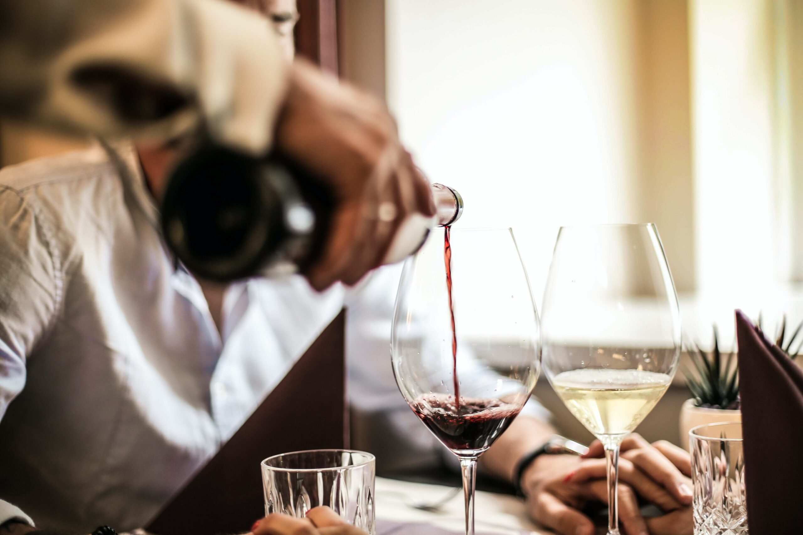 Where to Buy Wine in Morocco All you need to know [2024 Edition]